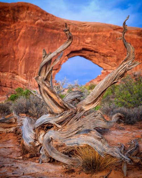 Item #96012126025726909398186429411282779476527200185327796802076911519404532957185 Media