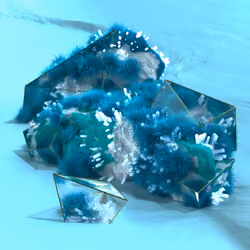 FLORA