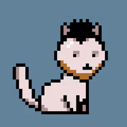 PunkCat #1884