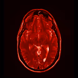 64162533542198579898252916190583583845604629893829087458582976454977505984513