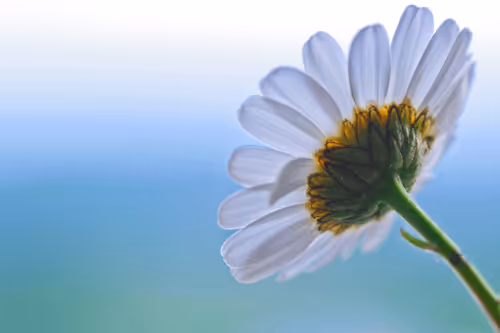 Item #6505089431552554568137386774614394979265528746054988378978093556615474053121 Media