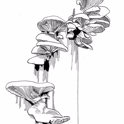 Untitled Collection #200468839