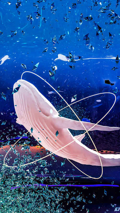 Item #34407012467013264369072826680281558624243883765584913843852975281550361886721 Media