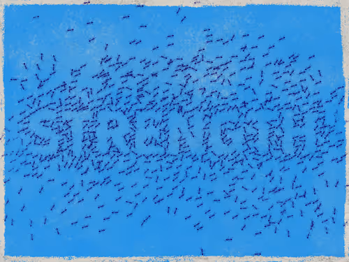 Item #14905628070922848497243539374949986756999099721774912703117802718009816514561 Media
