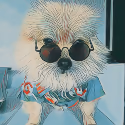 Rockstar PomPom