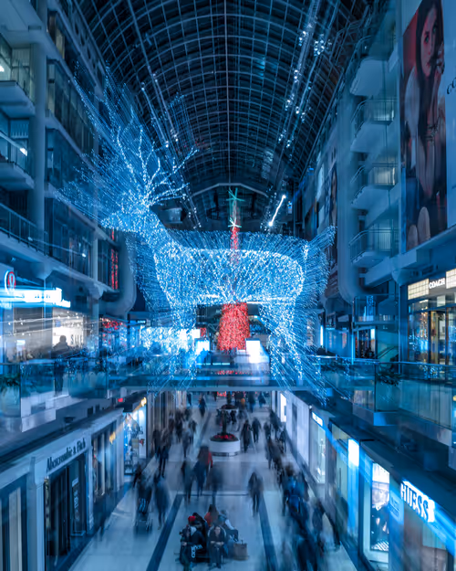 Item #25110026198913534228746200308766154956864660367097270753648320725269788753921 Media