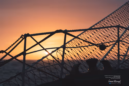 Item #34110083671509346653453586160941404072216291014688644284046702074522350125057 Media