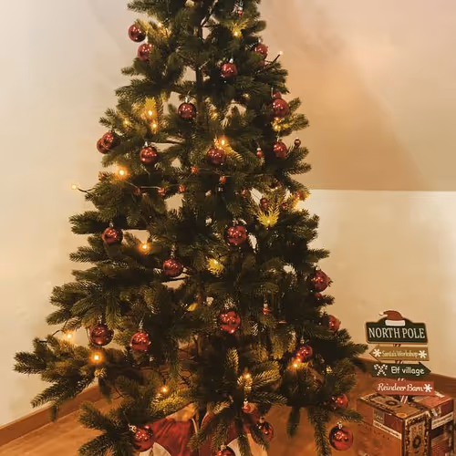 Untitled Collection #102750440