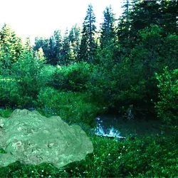 Frog Blob Bog