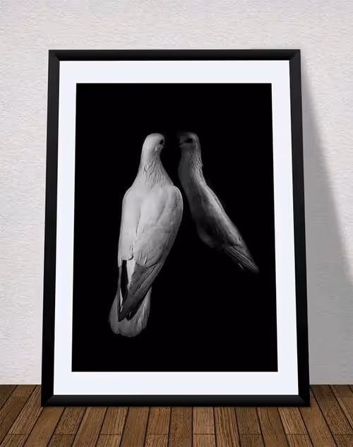 Item #2008822131784963210121611062036817964270591121271243619924453458828268142593 Media