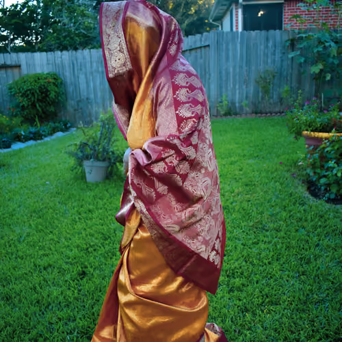 Red Gold Sari 1