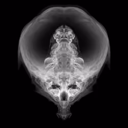 Alien Embryo - 260 of 2000