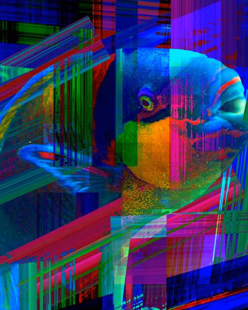 Item #48653799100012318570770790256965808514654415327640072251789586113248012271617 Media