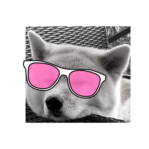 Minimaldoge