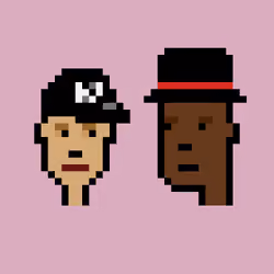 Crypto Couple Punks #4041
