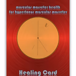 Healings Collection #29