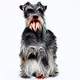 106335010364619804876246379813967827157431094839675135629649880397262379548673