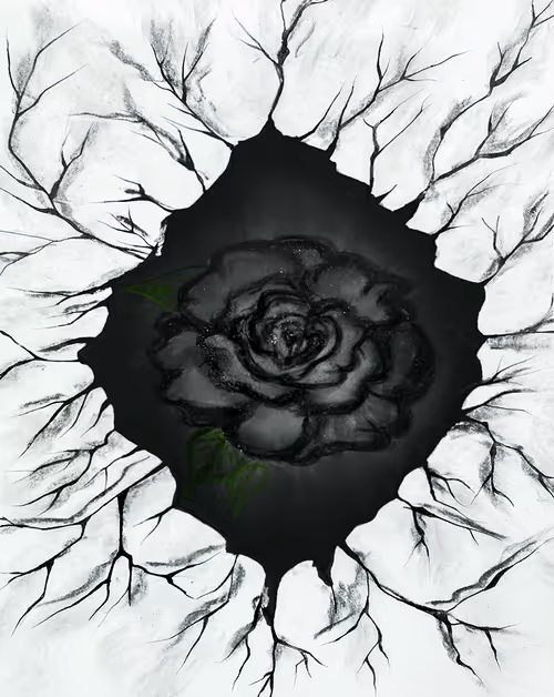 Item #81456042624357434202328939873654772461985486531984512622601373513087669239820 Media