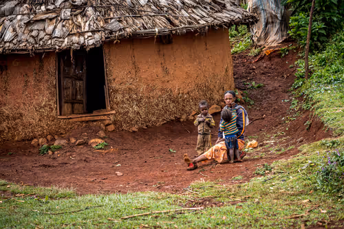 Item #50027882237522295676960542276708360859068113986169674979910833977873469014017 Media