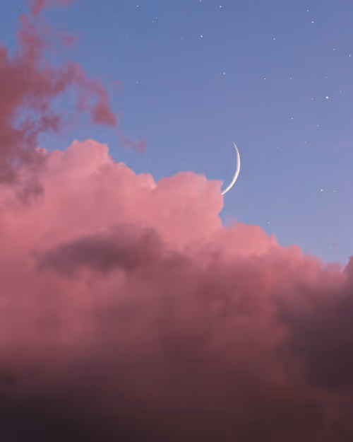 Item #9516099056367242152996622501750151802451978225621664057436231455554446295041 Media