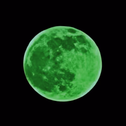 Item #101983409700396166080613188018216707096235636634703201961680544326990908358657 Media