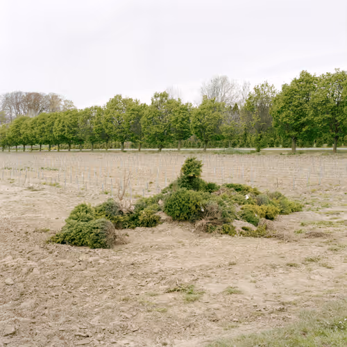 Claudia Pawlak - Accelerate Art