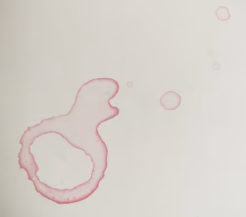 Item #44659341983174900277615426972380684672489201164834520372691987086520157732865 Media