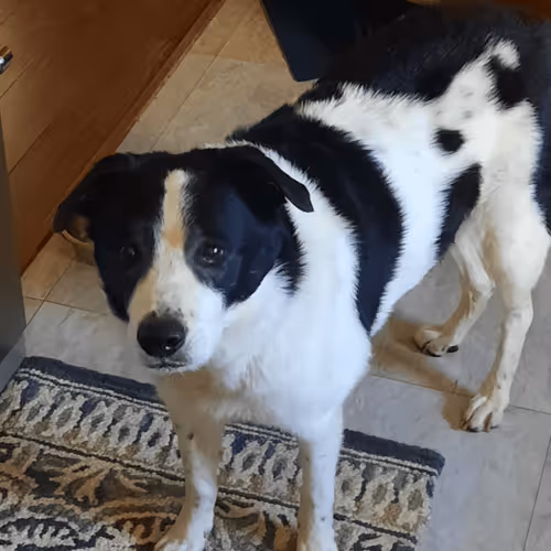 Untitled Collection #270746977