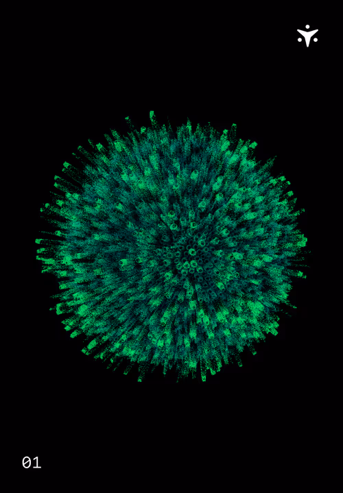 Item #30579750124061878473924884355833297327322833746354964518713563925695881543700 Media