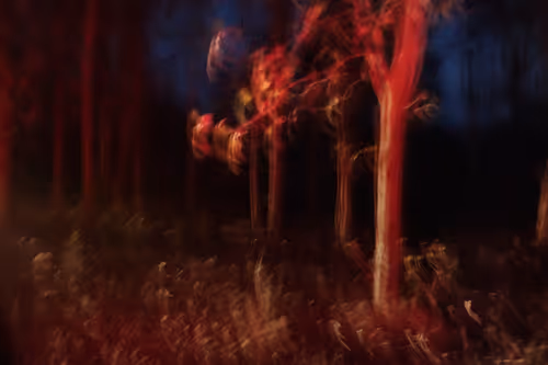 Item #80141737210111839928667523403933295145384279437019335330195524784076735119361 Media