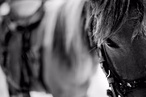 Item #84959981716225864493476618462304724133826851655422953024680602863891795410945 Media