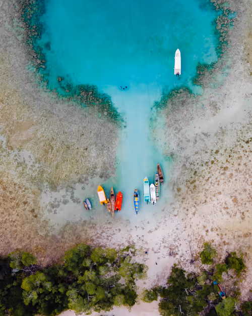 Item #76182420435474433030175106925333141340122143524658153810664851663774940135425 Media