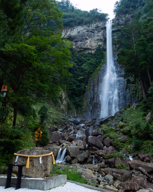 Item #67939412302890938501542439666874695594271992437598486221987910518307555377153 Media