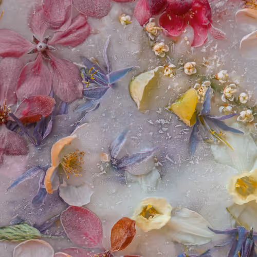 Item #80829721372825377784010953381890255518558028243098186913878117630007641636865 Media