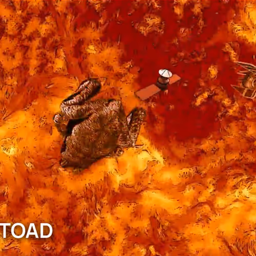 Joe Dean Toad Liquor