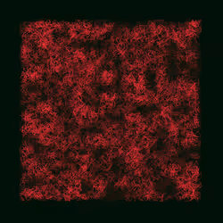 12032733712256437664215437925069129638151898554142308319368358761908496498689