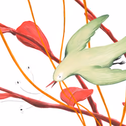 5 | bird & insects