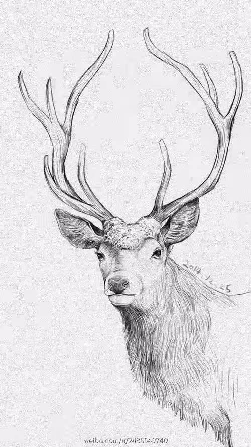 Item #59372510769385092723467611666611200889970871795680231390700144250985744695297 Media