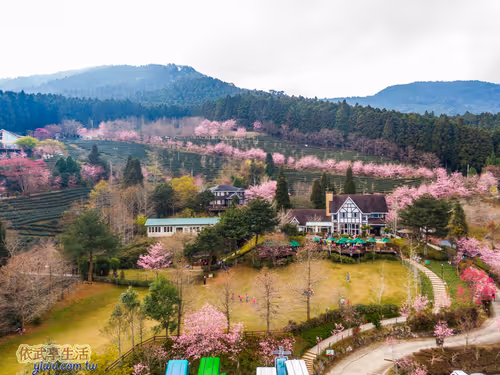 Item #100744422725674417057824683306763013505668843176654858816283483989007117844481 Media