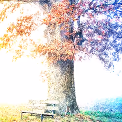 The spirit of trees #9