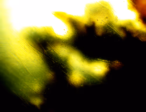 Item #71646257518770613568983710813551014237803002136866425209291834544164052140033 Media