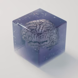 Box with Brain