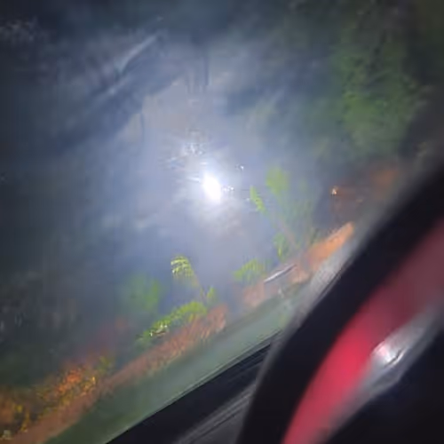 Untitled Collection #59461745