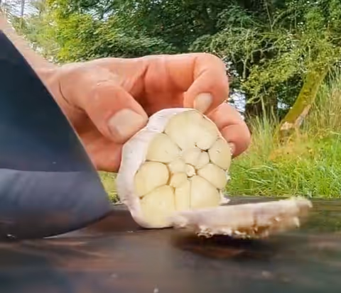 Item #71355605171447060346410046293277649019476890844426602903209692552594760663041 Media