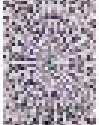 12325373483572719967795320012061967533914195640300563770075413414582744514561