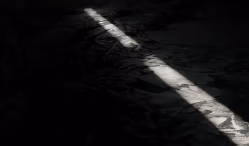 Item #51046187507700473232763100536665635319983373410040334461039624717316040687617 Media