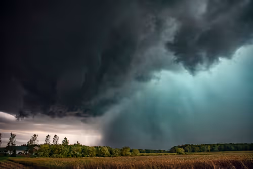 Item #46154160826271547341634704556143841503597126410650149385483954194248737226753 Media