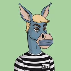 Criminal Donkey 3927