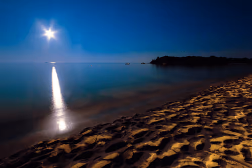 Item #6505089431552554568137386774614394979265528746054988378978093598396915908609 Media