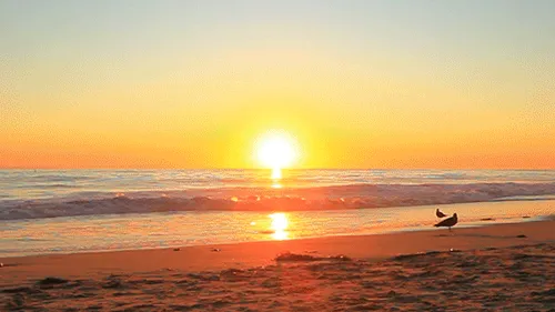 Item #59132355562186324700850821844442436394047262304885251221794294027099175911425 Media